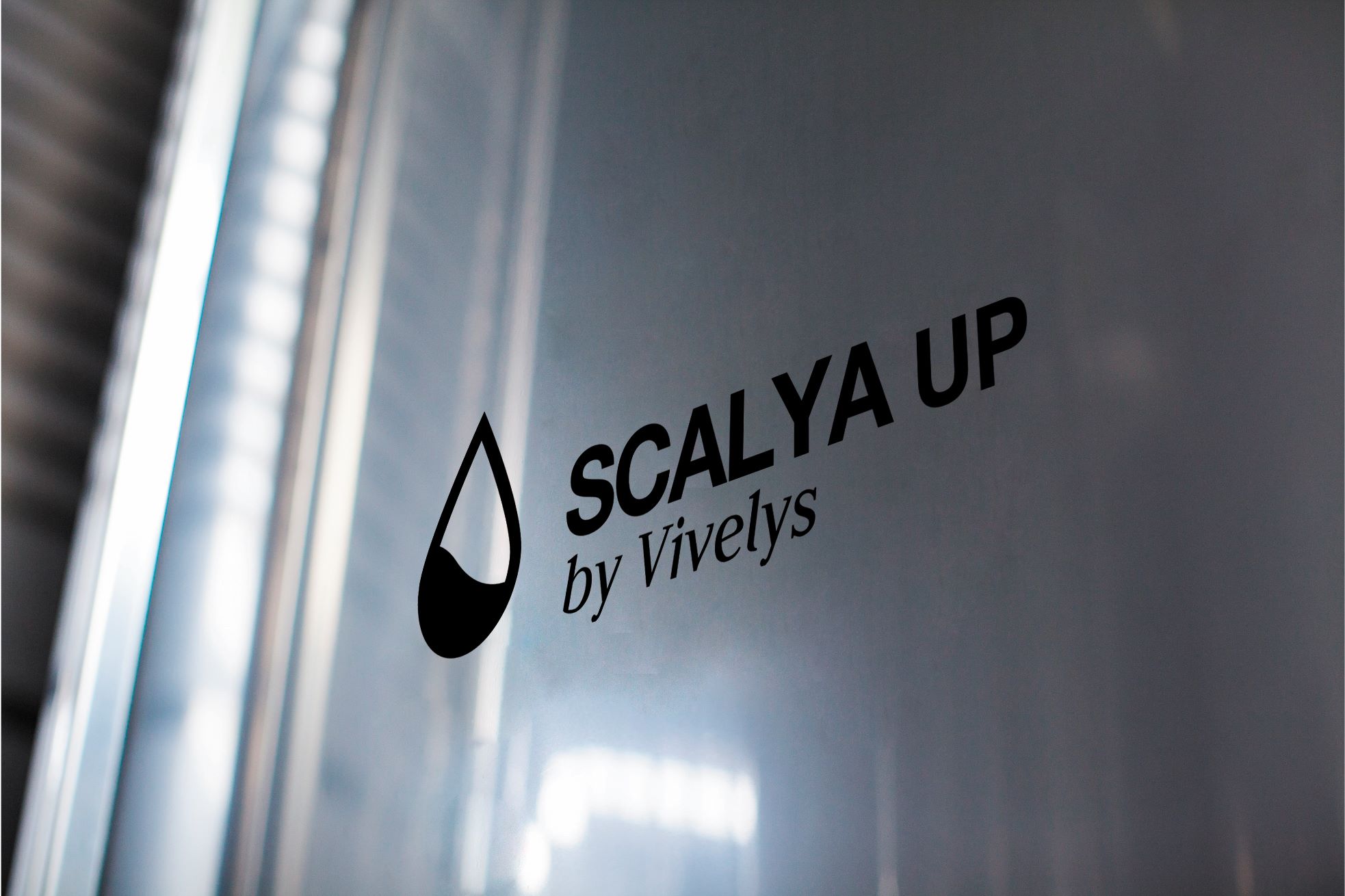 Scalya Up