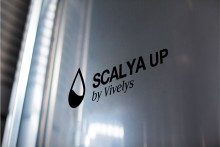 Scalya Up