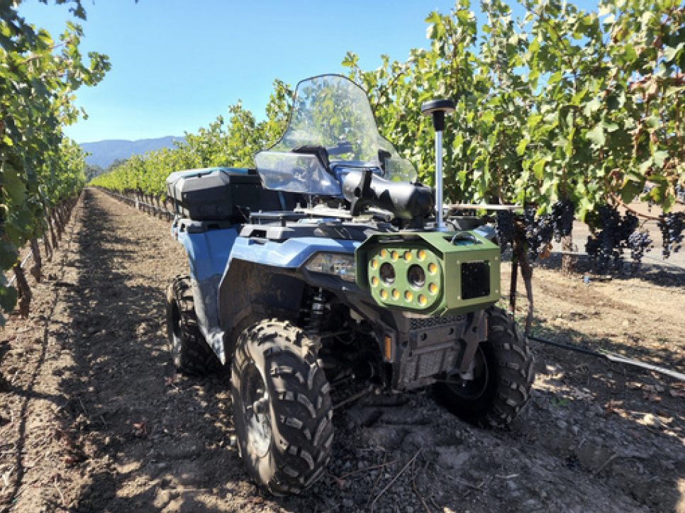 Vignes - capteur de rendement