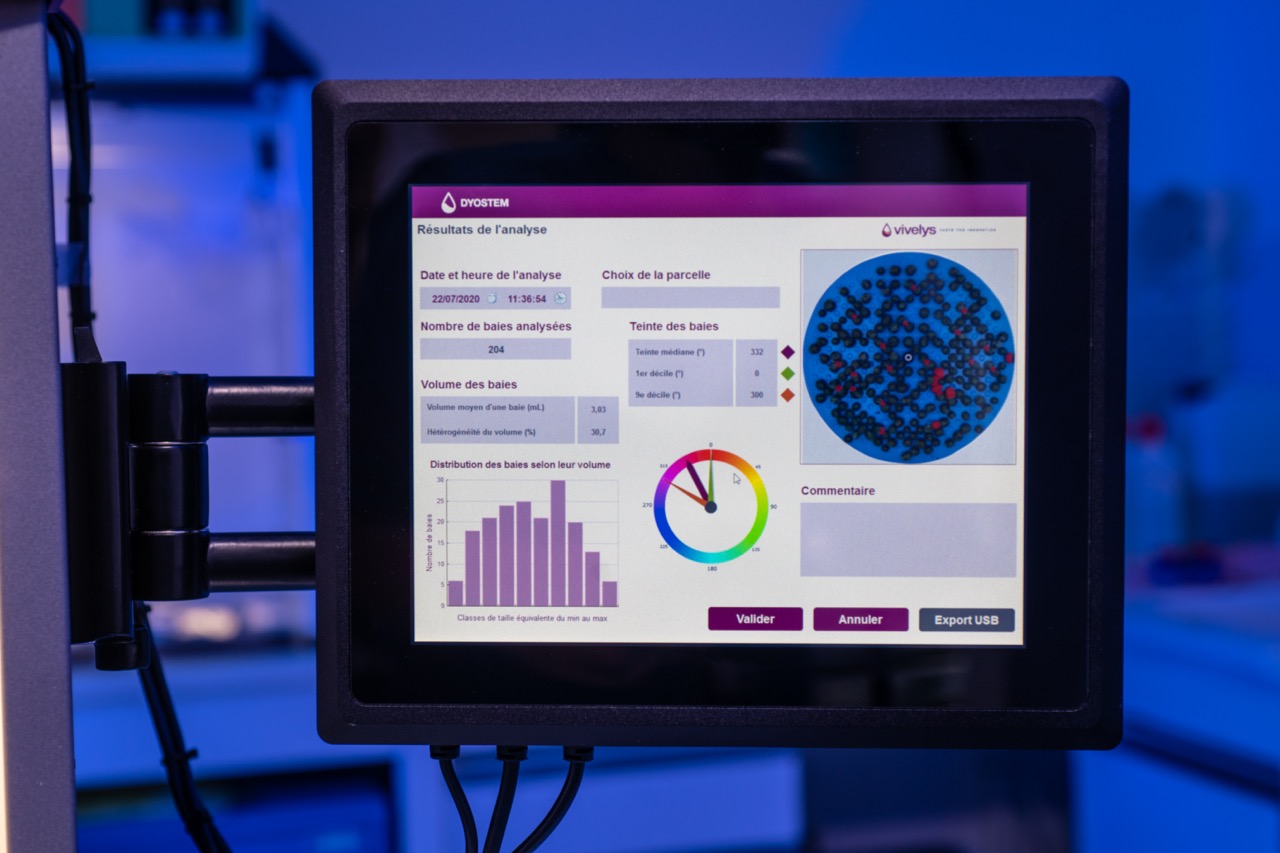 Dyostem interface