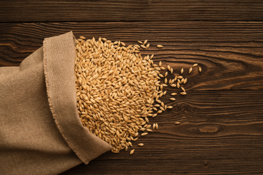 Réduction de 65% de vos besoins en malt