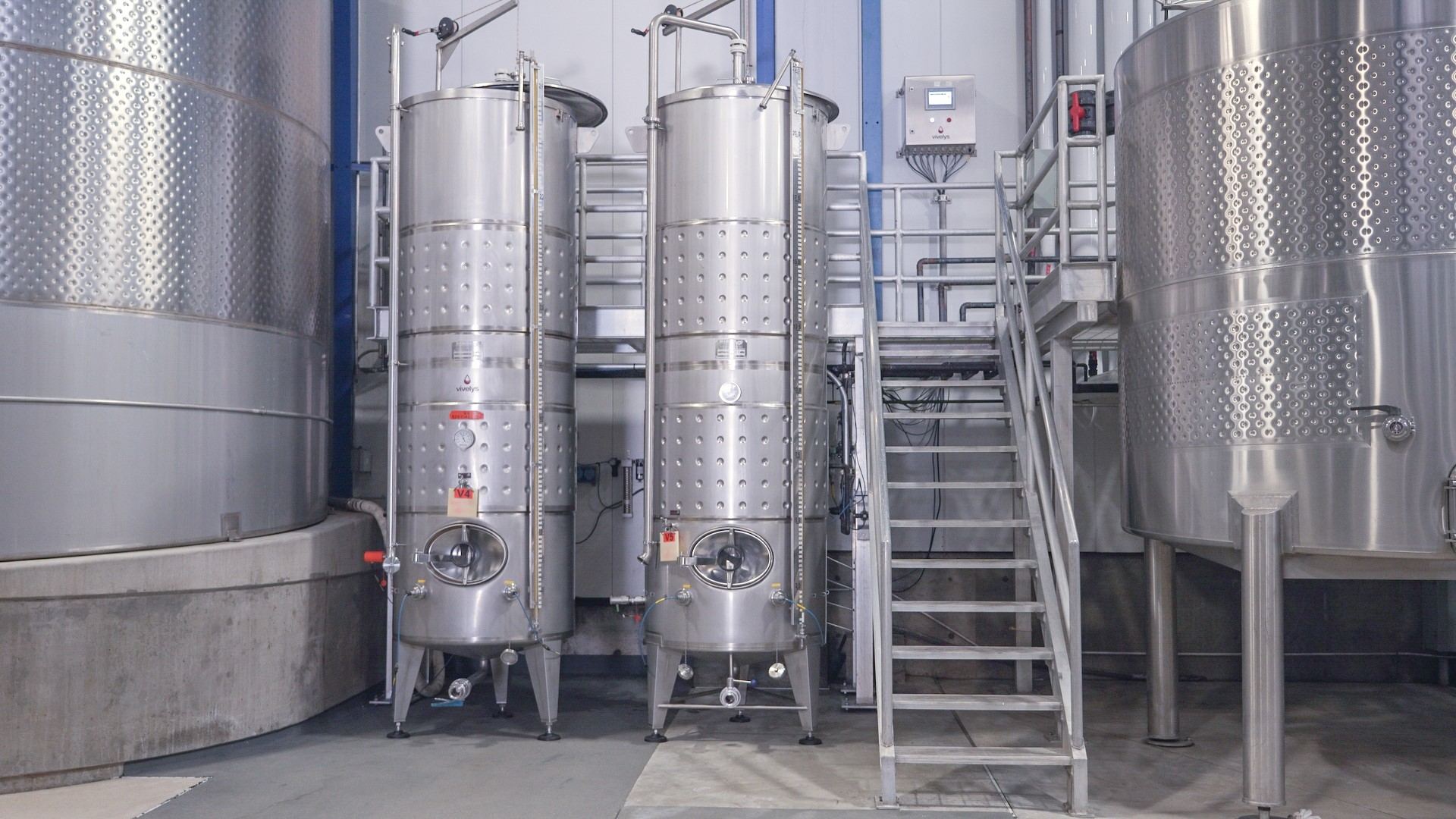 Ececolys® Cerveza: producción de fermentos de muy alta calidad.