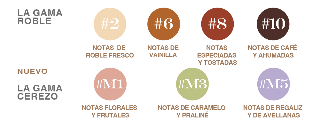 Un universo de posibilidades con todas nuestras referencias Boisé Absolu