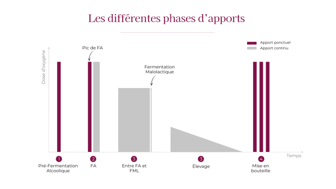 Schéma les différents moments d'apports